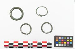 Foto von Bronzering (NHMW-PRAE-023684)